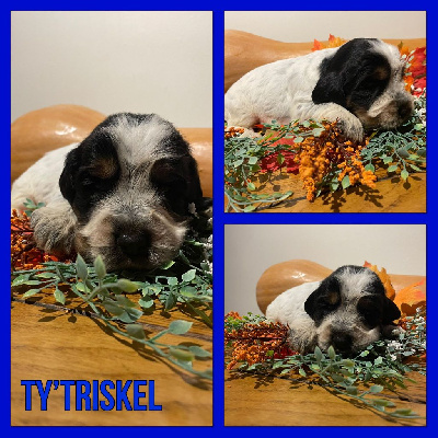 Ty'Triskel