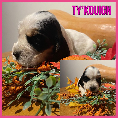 Ty'Kouign